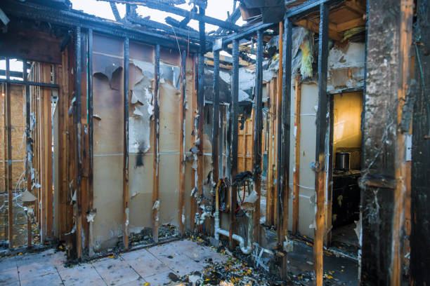 Professional Soot Cleanup technician working in Chester, MD